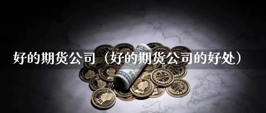 好的期货公司（好的期货公司的好处）_https://xixia.ncforging.com.cn_恒指保证金_第1张