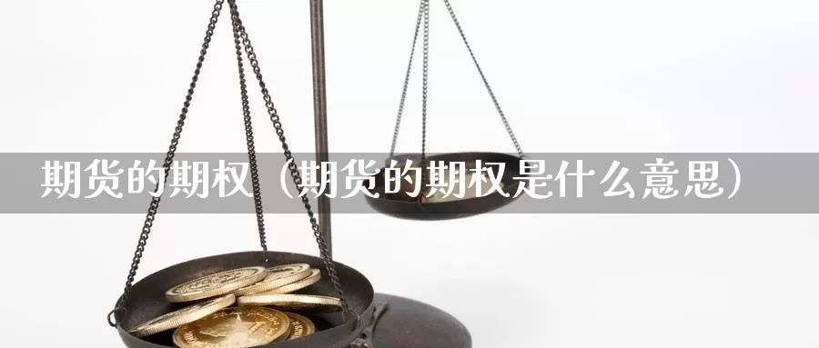 期货的期权（期货的期权是什么意思）_https://xixia.ncforging.com.cn_恒指期货开户_第1张